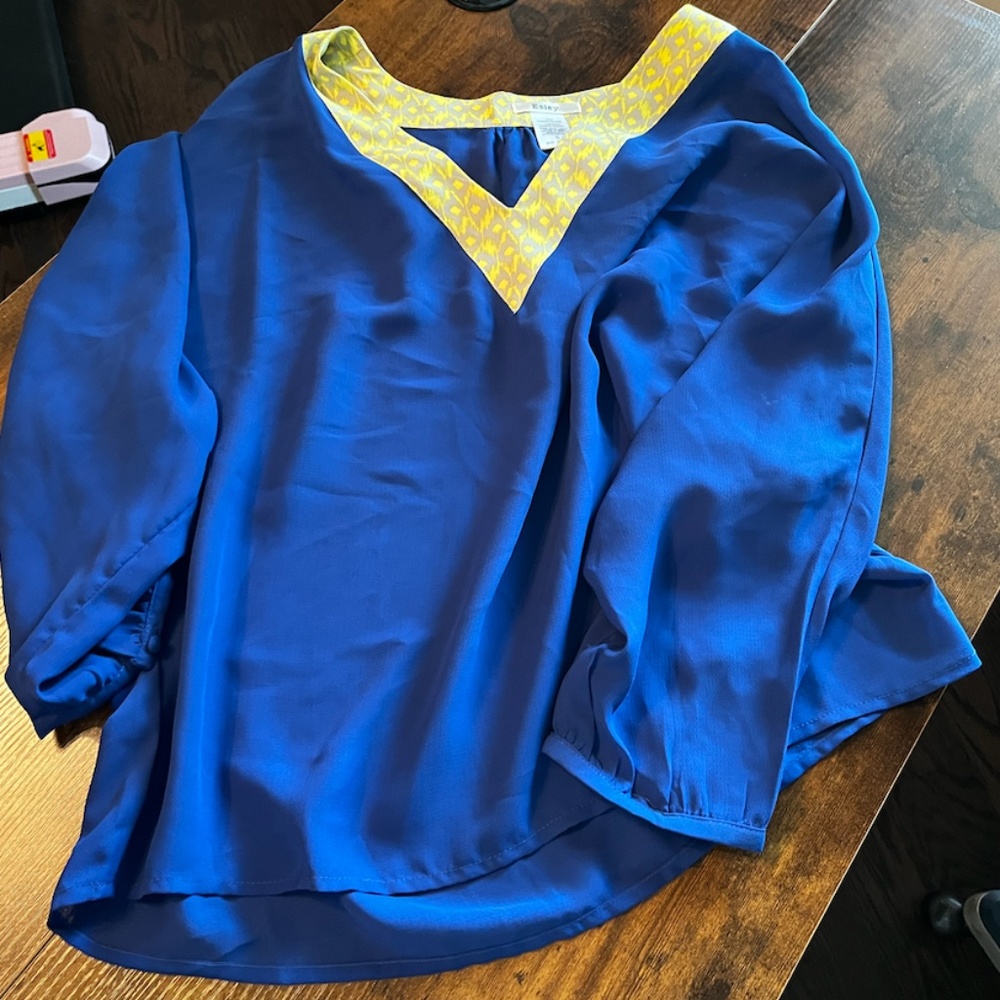 Blue ¾ Length Blouse